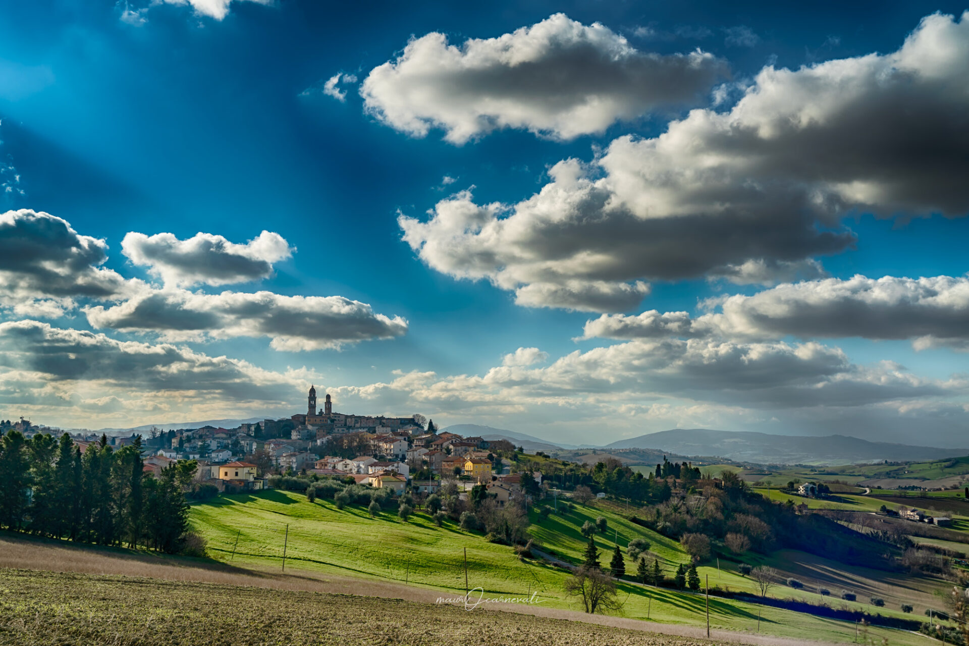 Terre Roveresche - Orciano