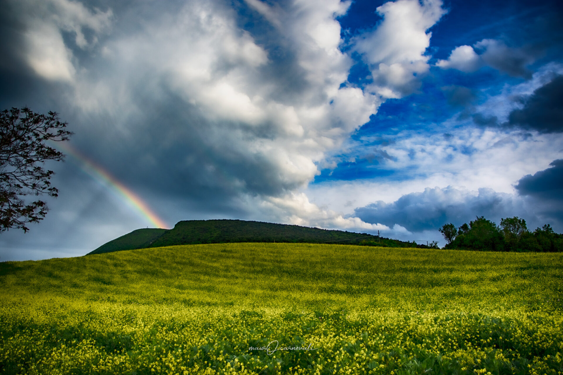monte Conero - Ancona